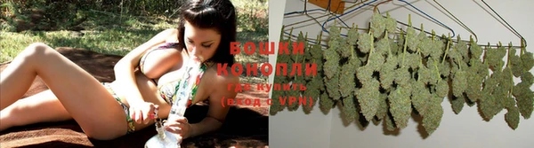 ПСИЛОЦИБИНОВЫЕ ГРИБЫ Кирс