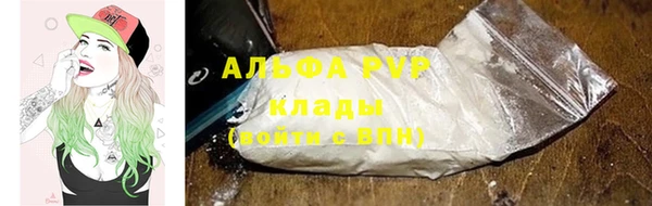 стафф Осинники
