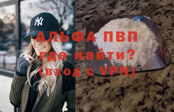 стафф Осинники