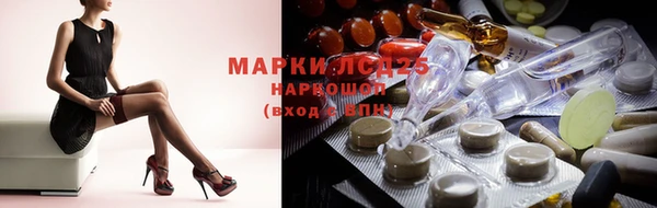 стафф Осинники