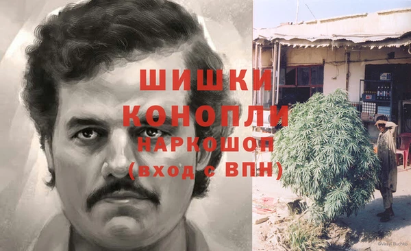 стафф Осинники
