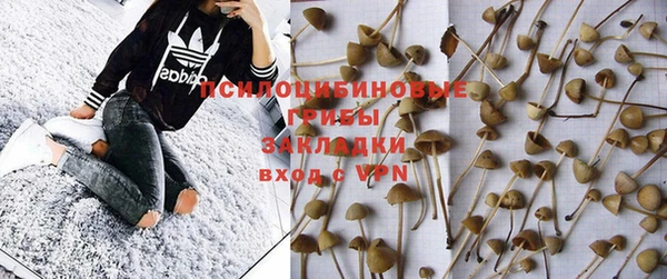 стафф Осинники