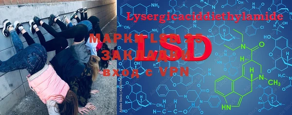 стафф Осинники