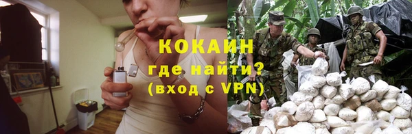 стафф Осинники