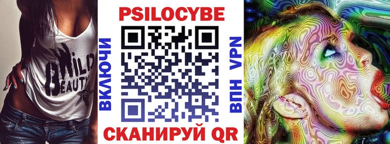 omg вход  Сельцо  Галлюциногенные грибы GOLDEN TEACHER 
